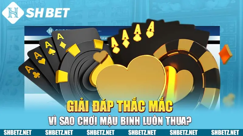 Giải đáp thắc mắc vì sao chơi Mậu Binh luôn thua?