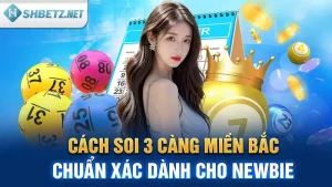 Cách Soi 3 Càng Miền Bắc Chuẩn Xác Dành Cho Newbie