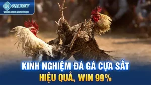 Kinh Nghiệm Đá Gà Cựa Sắt Hiệu Quả, Win 99%